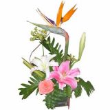 ʩʻٵ