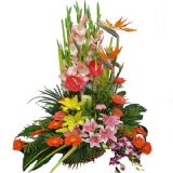 ʩʻٵ