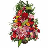 ʩʻٵ