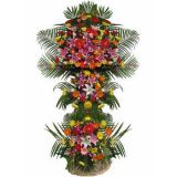 ʩʻٵ